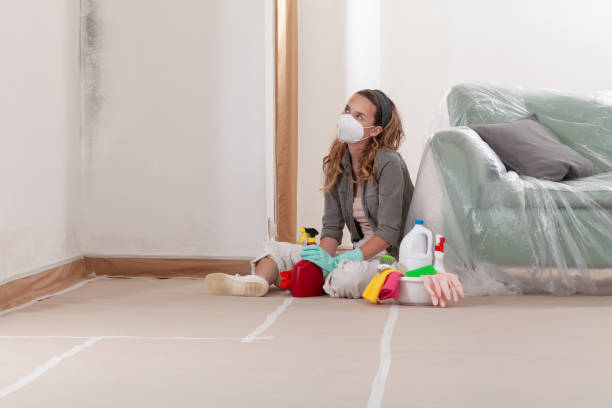 Reliable Mold Remediation contractor in Syosset, NY by Cheap Mold Removal